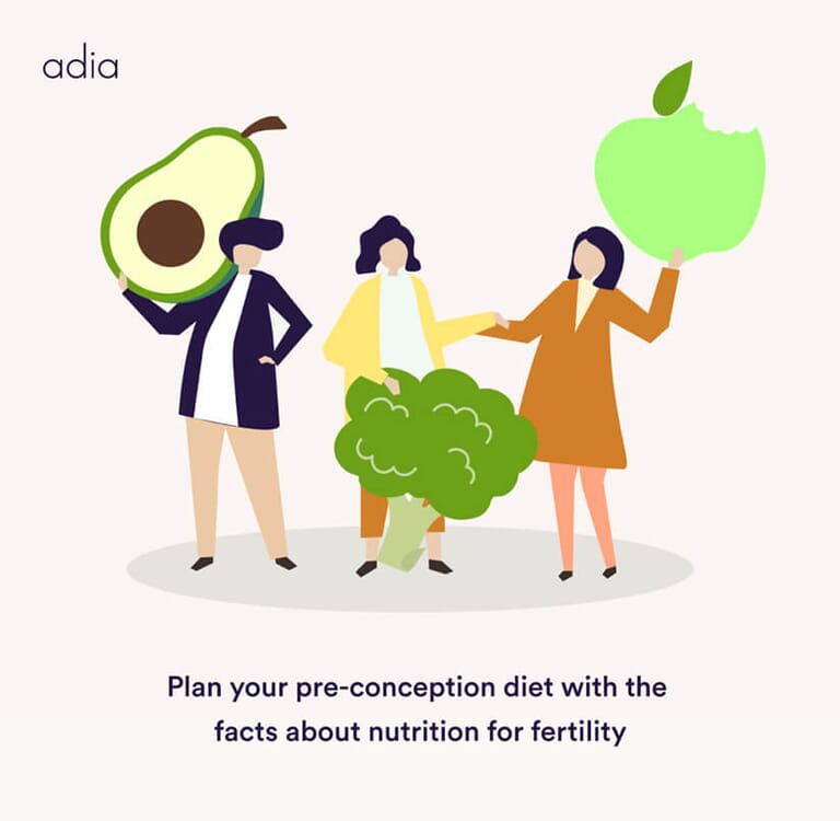 fertility diet plan