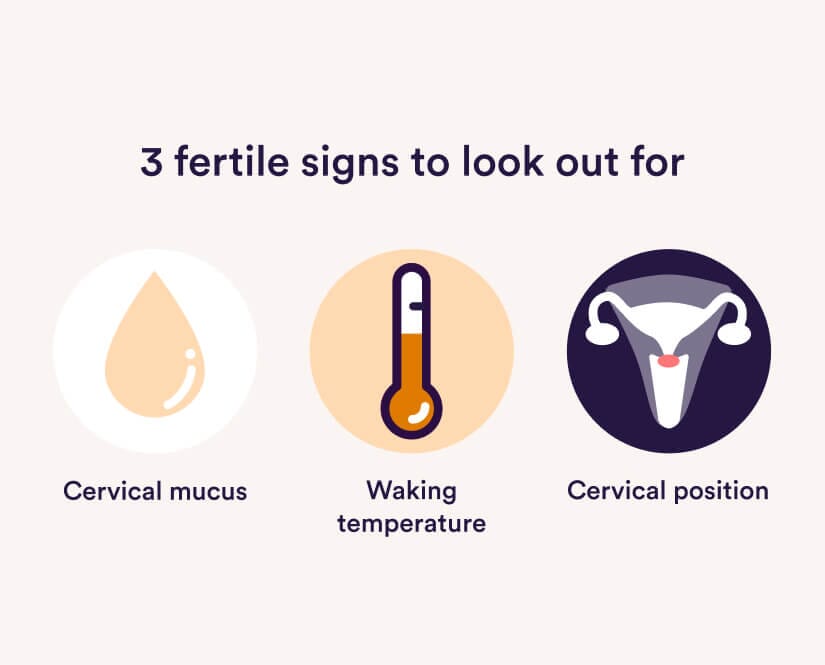 Checking Cervical Mucus